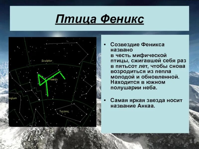 Происхождение созвездия. Созвездие Феникс. Созвездие Феникс Легенда. Интересные факты о созвездии Феникс. Созвездие Феникс история названия.