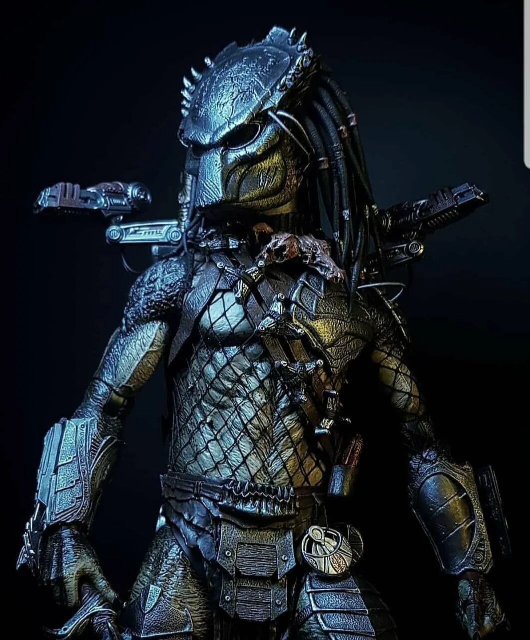 Легкий хищник. Hot Toys Wolf Predator 2.0. Хищник волк hot Toys. Хищник волк Яутжа от хот Тойс.