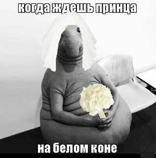 Ждала мужа 18