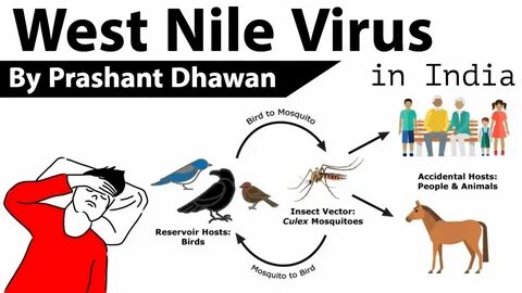 Nile virus