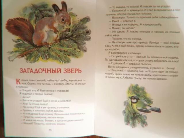 Луиджи серафини кодекс. Самое странное читать. Самое странное читать. Страшные истории короткие. Мадагаскарская руконожка детеныш.