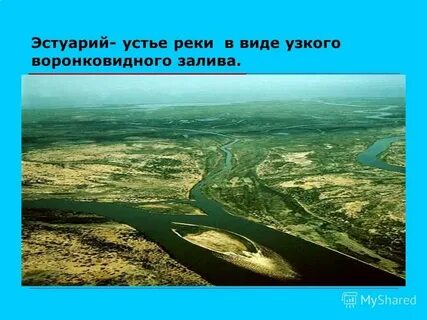 Узкое устье реки