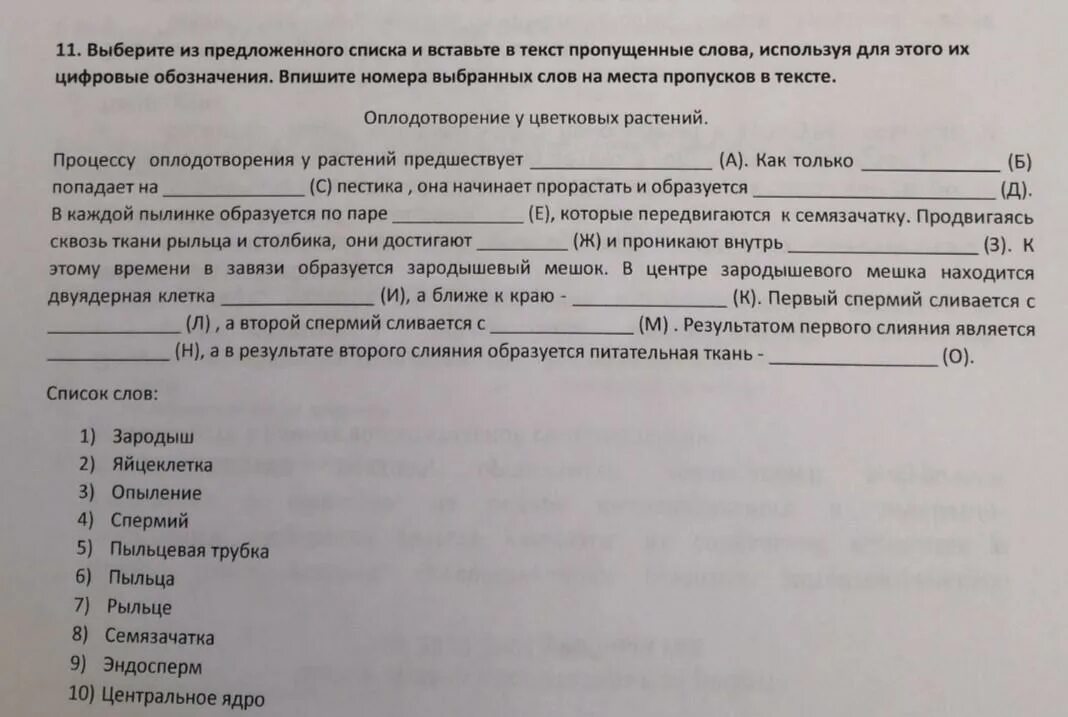 Из предложенного списка выберите такое растение. Выберите из предложенного списка. Выберите из предложенного списка и вставьте в текст. Вставьте в текст пропущенные слова из предложенного списка. Вставьте в текст пропущенные слова выбрав из предложенного списка.