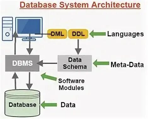 Dbms utility. Dbms. database management. mashhur dbms(database management systems) vositalari.