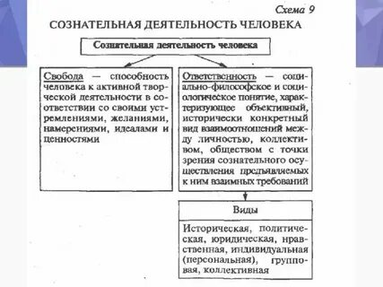 Деятельность человека носит сознательный и продуктивный характер