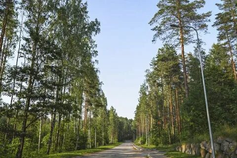 Лесное всеволожский