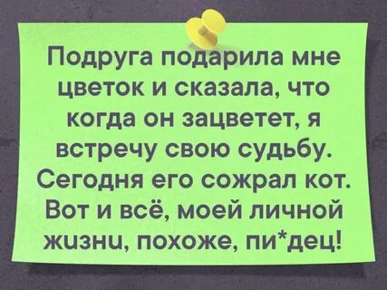 Я встретил она цвела