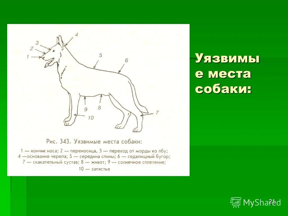 что такое уязвимые места объекта. схема монтажа оздс. самые уязвимые места на теле человека. слабые места танка т72. уязвимости системы безопасности.