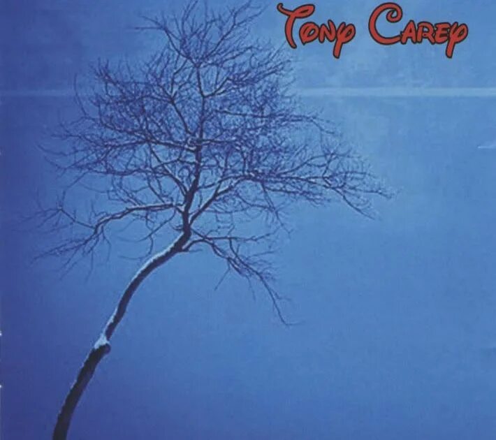 She lives a lonely life. Tony Carey Storyville. Tony Carey Storyville 1990. Tony Carey i won't be Home Tonight. Tony Carey - only the young die good.