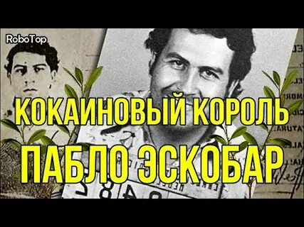 Сколько заработал пабло