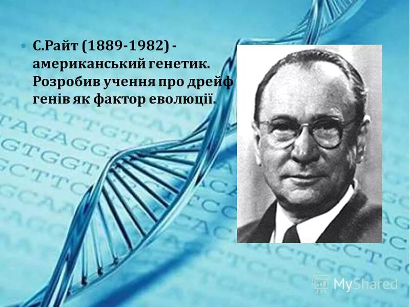 фитнес детектив алла неверова. днк ученые. люди с деменцией. н. Only love.