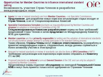 Country предложение