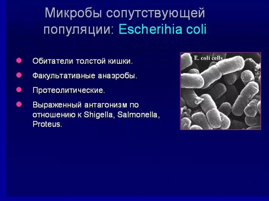 Дисбиоз это. Дисбиоз толстой кишки. дисбиоз толстого кишечника. дисбиоз толстой кишки клинические рекомендации. дисбиоз кишечника ткаченко.