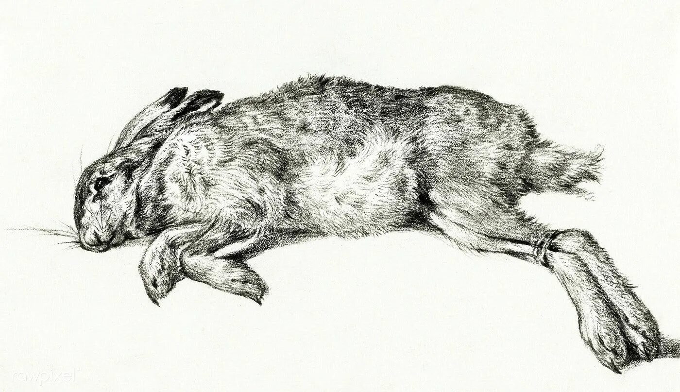 Hare of the cog