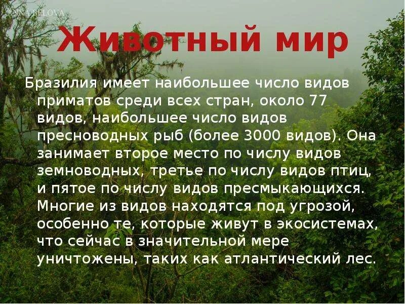 Природа бразилии кратко. Описание природы бразилии. Бразилия презентация. Проект на тему бразилия. Растительность бразилии 7 класс.