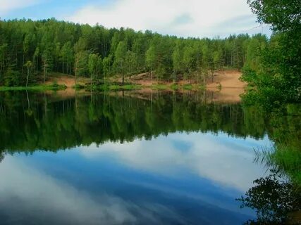 Саперное ленинградская область