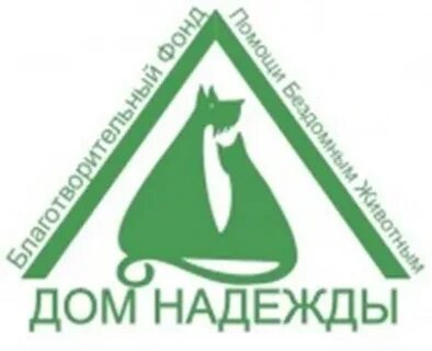 Фонд нижнекамск