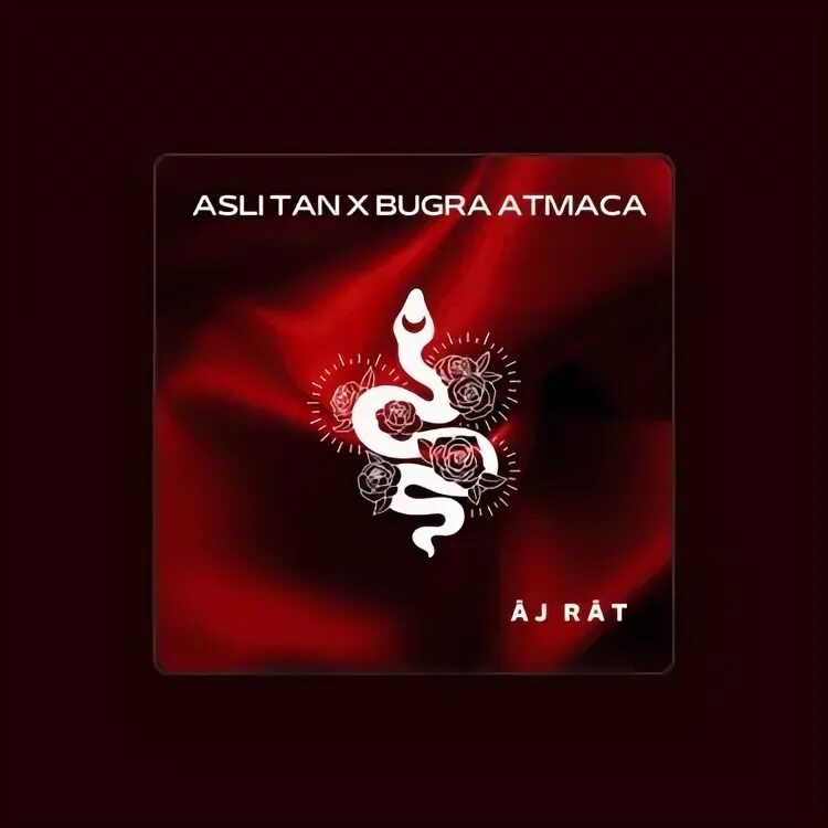Bugra atmaca no cap. Bugra atmaca no cap