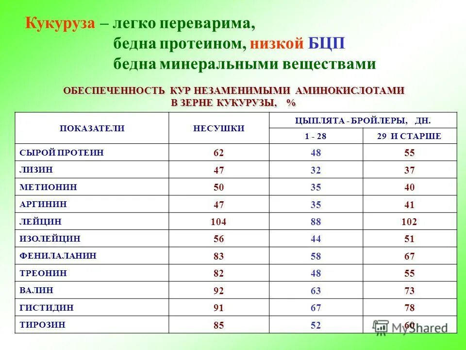 Питательность зерна кукурузы. Таблица сахаристости кукурузы. Содержание кукурузы. Содержание кукурузы. Протеин в зерновых.