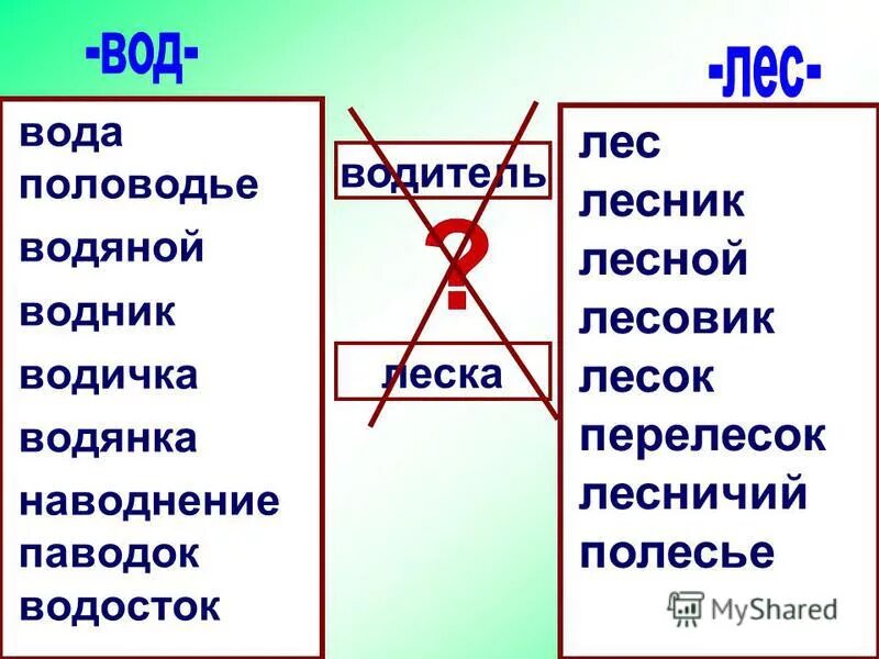 Корне слова водоросли. Вода Лесник. Лес Лесник Лесной проверочные слова. Корень слова паводок. Форма слова лес, Лесовик,Лесной, Лесник, в лесу.