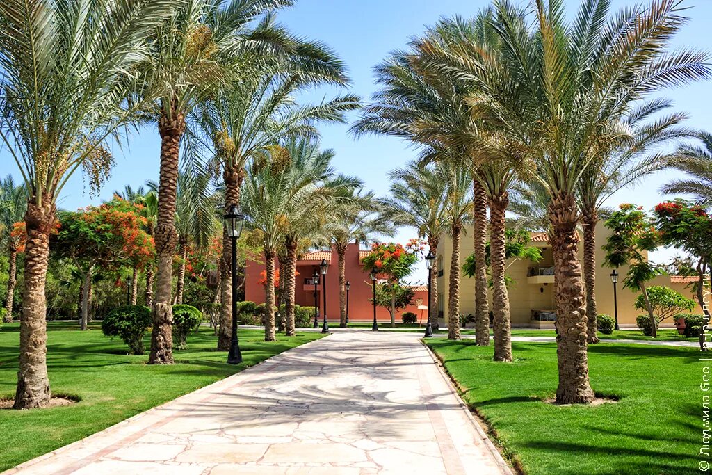 Siva grand beach 4* хургада, 100 м до моря. Siva grand beach. Хургада египет сива гранд бич. Отель siva grand beach 4*. Отель siva grand beach 4*.