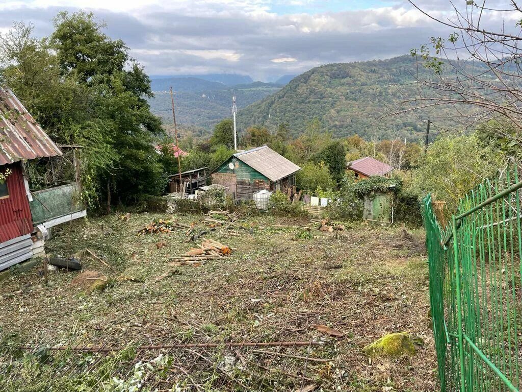 Купить снт сочи. Краснодарский край Адлерский район село каштаны. Село каштаны Хостинского района. Поселок каштаны Хостинский район. Село каштаны Сочи улица Мичурина.