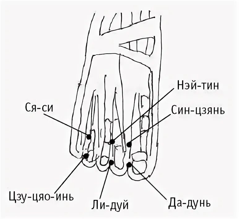 Точка тин. Нэй Тин точка. Точка ли дуй. Цзу Цяо Инь точка. Син Цзянь точка.