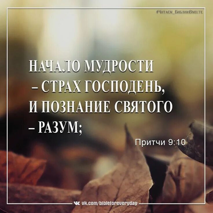 Начало мудрости страх. Начало мудрости страх. Страх божий. Начало премудрости страх господень. Начало премудрости страх.