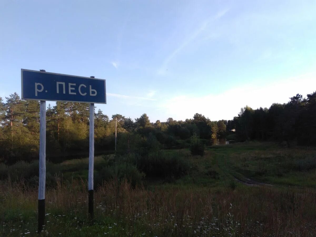 Река песья деньга. Река Песь карта. Река Песь Вологодская область. Песье село.