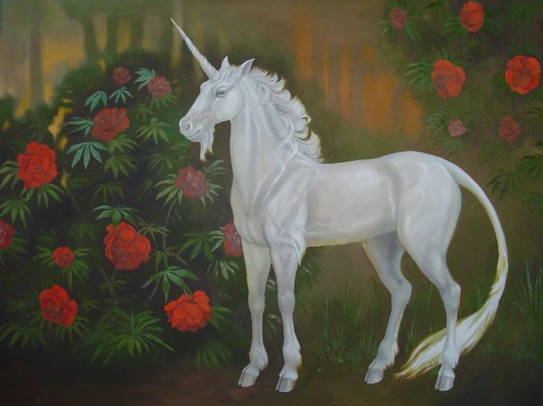 единорог кимры