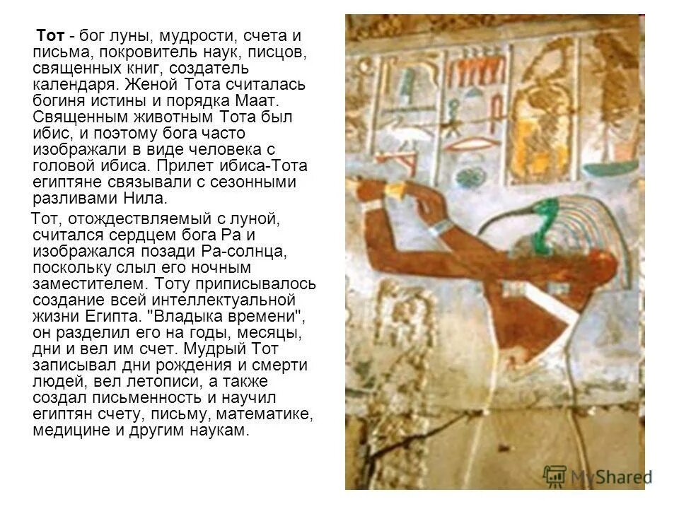 Бог египтян тот бог мудрости. Бог тот. Бог мудрости тот боги египта. Бог мудрости тот изображался в виде человека с головой этой птицы. Тот в египетской мифологии.