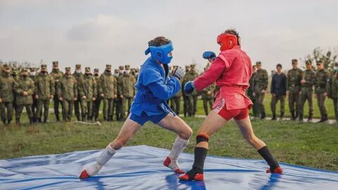 Боевой спорт