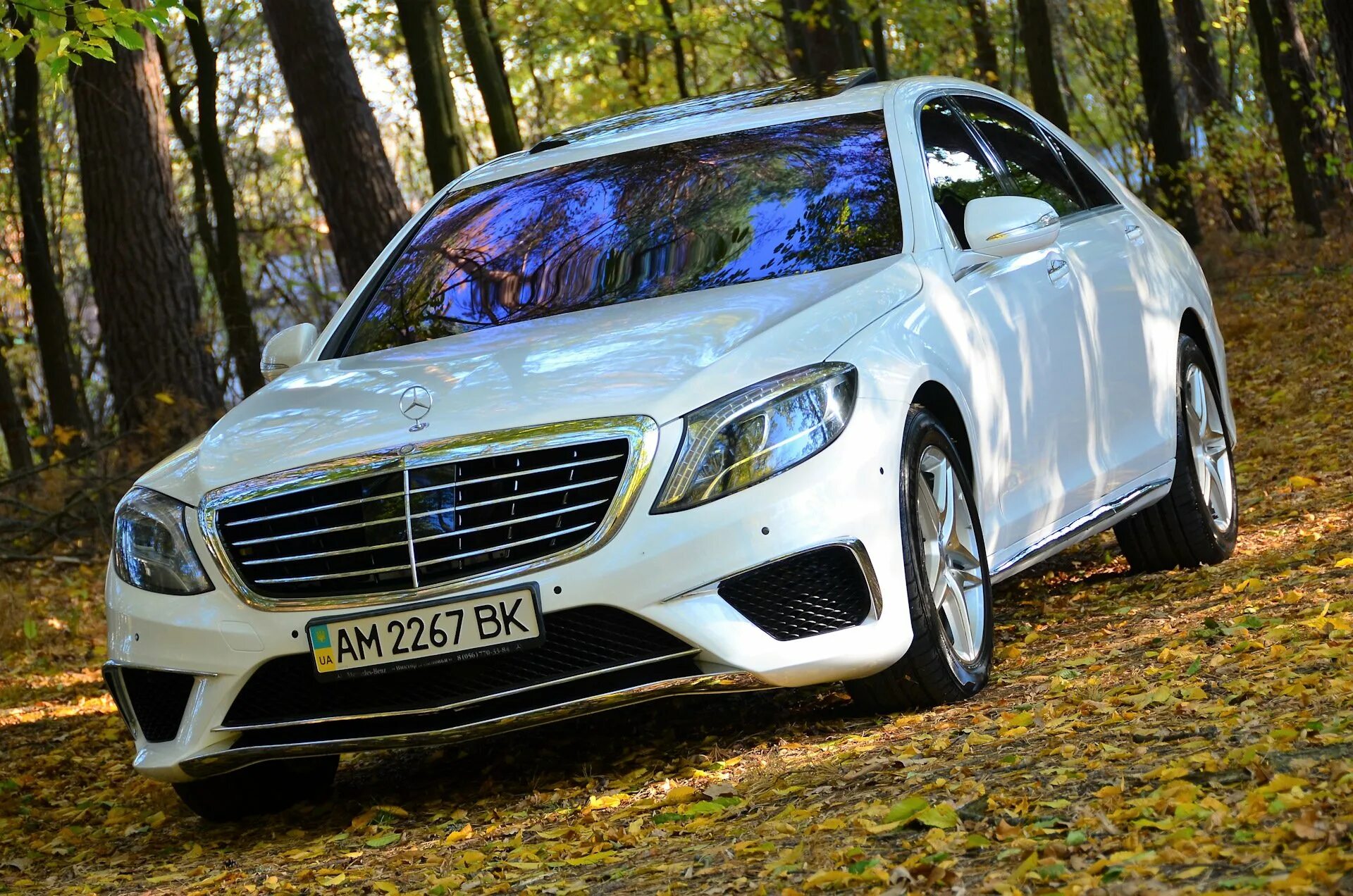 S class gaming