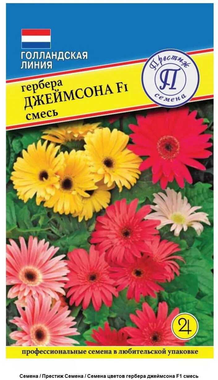 Гербера джемсона гибрид смесь окрасок. Гербера джемсона. Семена гербера джемсона. Герберы джемсона цветы. Семена гербера джемсона.