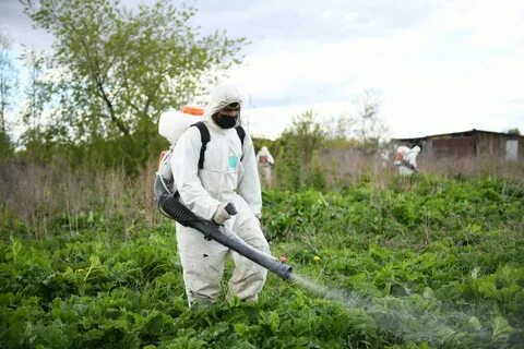 Обрабатываемый участок земли