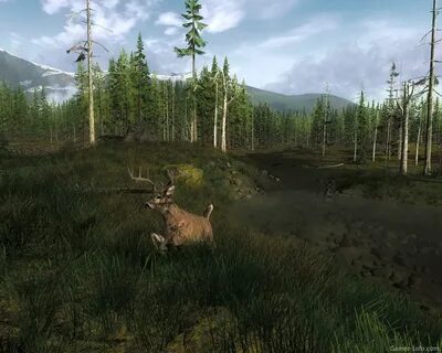 Неад hunter
