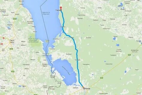 Псков гдов автобус