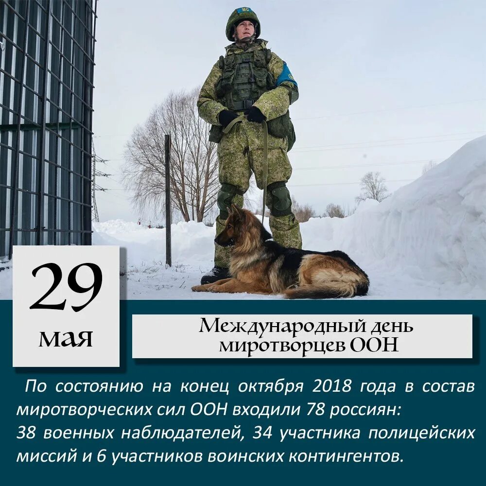 29 Мая Международный день миротворцев. День Миротворца ООН. 29 Мая день миротворцев ООН. Междунаро́дный день Миротво́рцев организа́ции Объединённых на́ций.