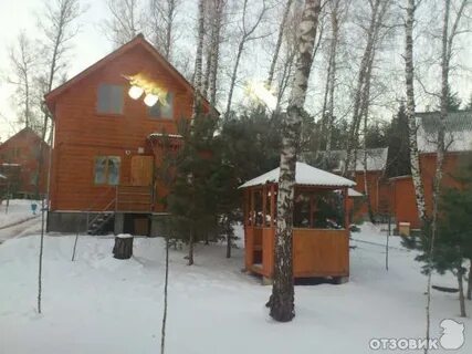 Березовая роща солнечногорский