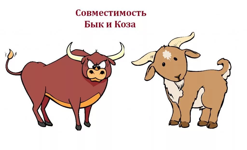 Мужчина бык совместимость в браке. Бык и коза. Бык и баран. Баран и Телец. Бык и коза совместимость.