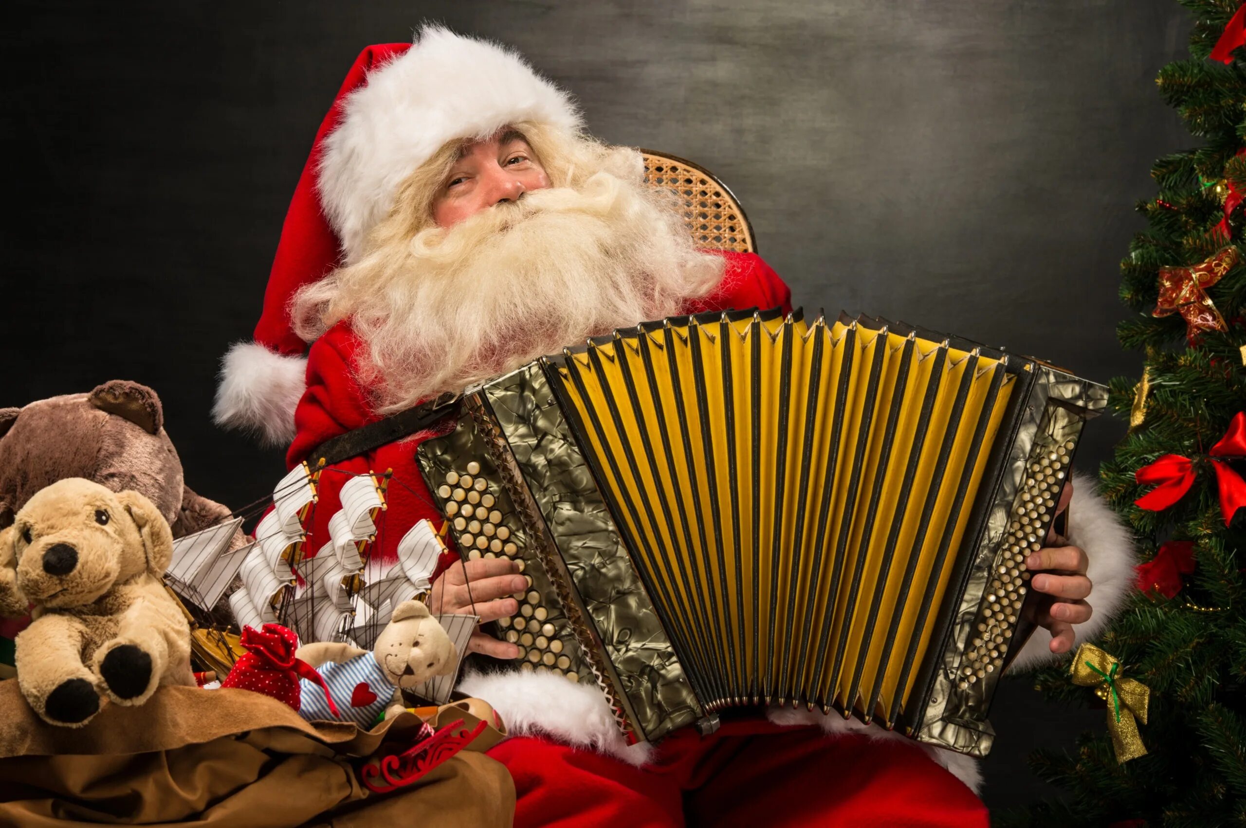 Деда исполняет. Дед Мороз с гармошкой. Новый год дед Мороз. Дед Мороз с баяном. Дед Мороз с гармонью.