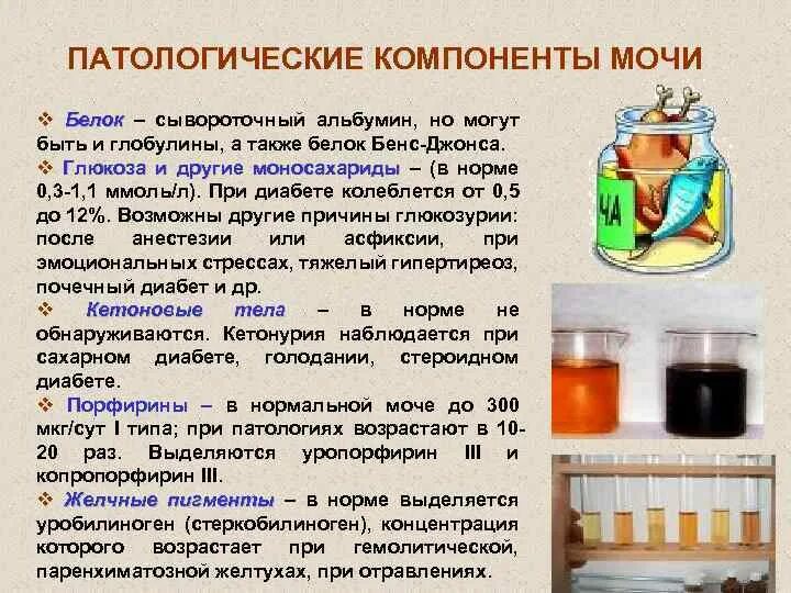 Белок в моче после родов