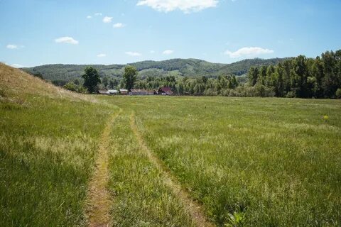 Большое чураево оренбургская область