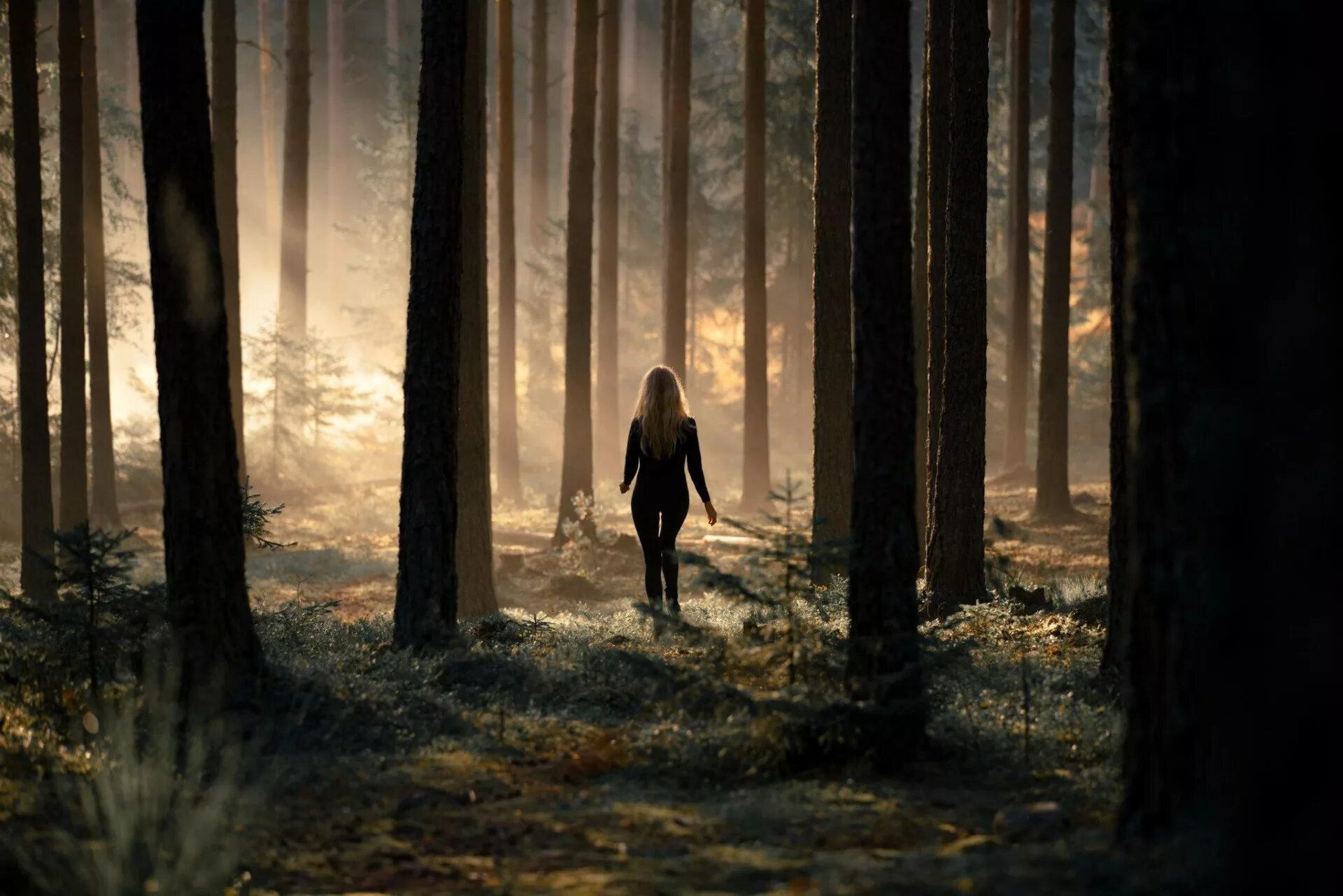 Девочка в лесу. Девушка в темном лесу. Темный лес. Один в лесу.