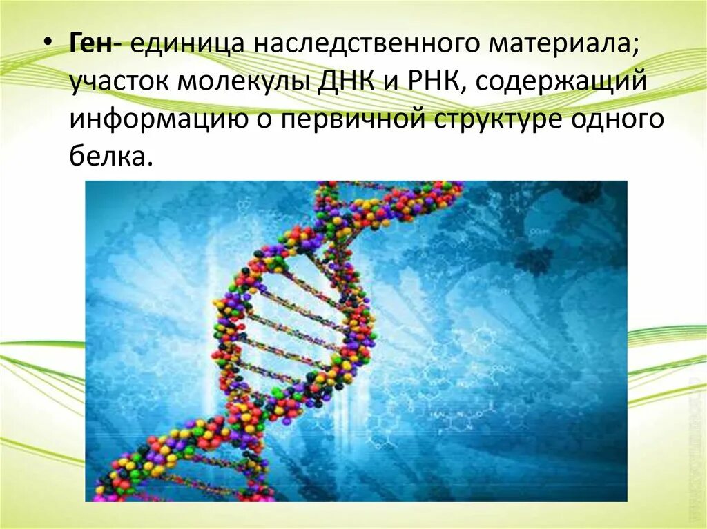 ДНК. Ген это в биологии. Генетический материал. Молекула ДНК. Наследственную природу имеют