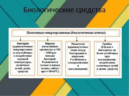 Средства защиты от экологических опасностей обж 10