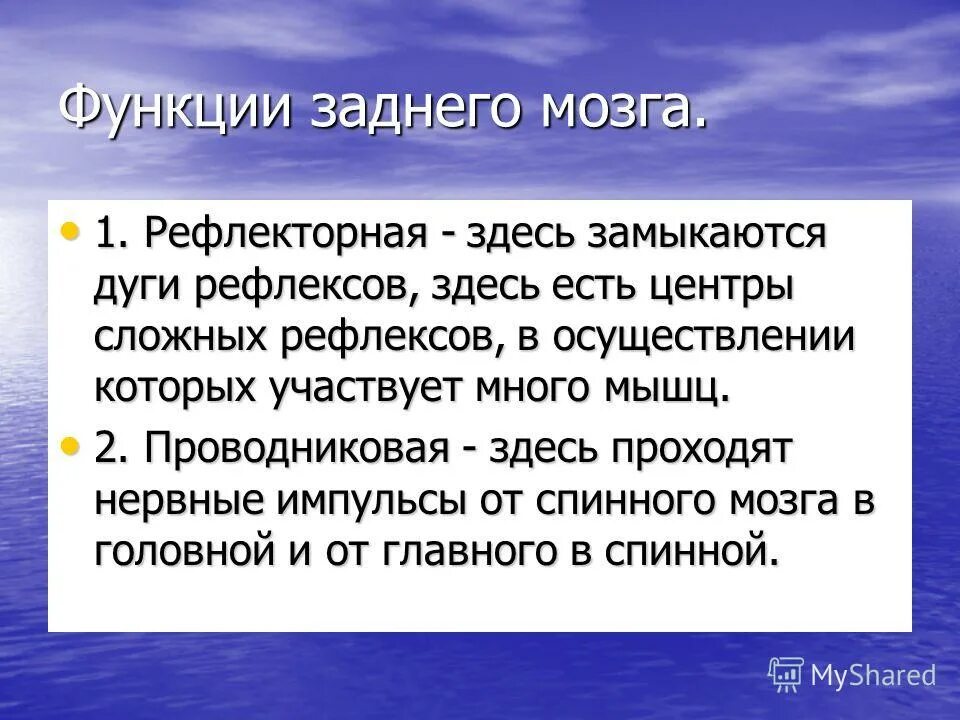 Функции заднего мозга. Методы исследования цнс физиология. Функции моста и мозжечка заднего мозга. Задний мозг строение и функции. Функции заднего мозга.