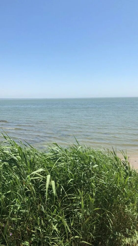 Ростовская обл азовское море. Рожок натальевка азовское море. Берег таганрогского залива. Азовское море приморка. Приморка ростовская область.