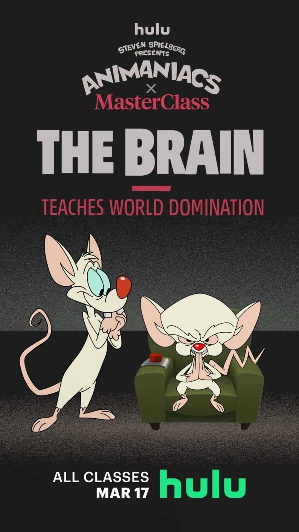 Пинки и Брейн. Animaniacs Hulu. Teacher Brain Breaks.