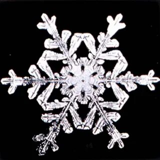 Шұңқырлар бейне